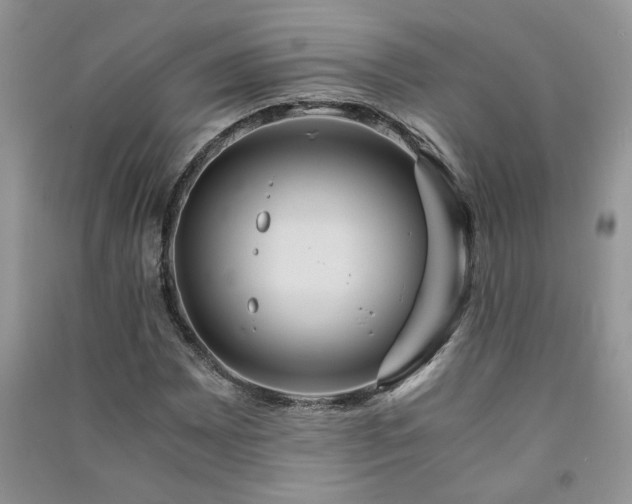 X0000091081065200708131251