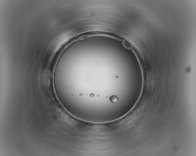 X0000091081067200708131251