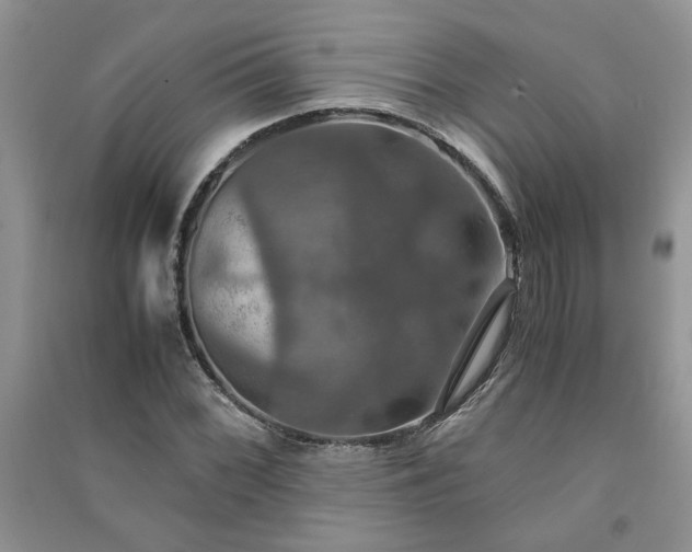 X0000091081068200708131251