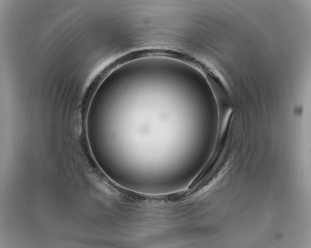 X0000091081069200708131251