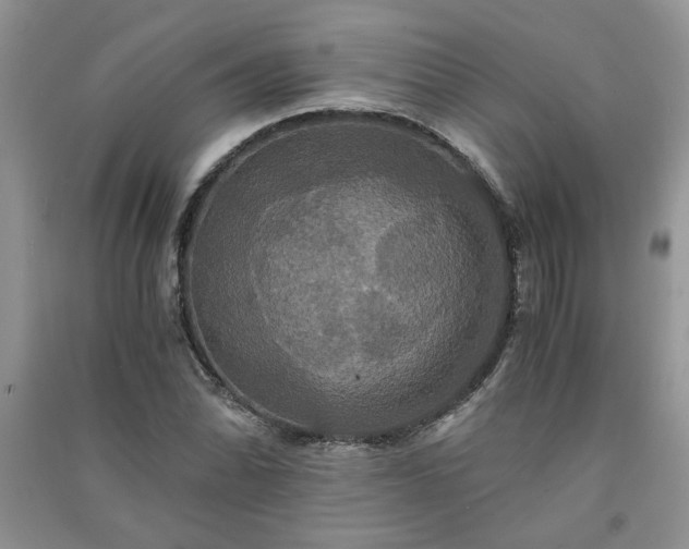 X0000091081070200708131250