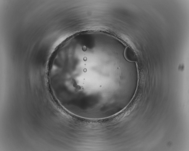 X0000091081071200708131250