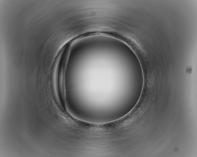 X0000091081073200708131250