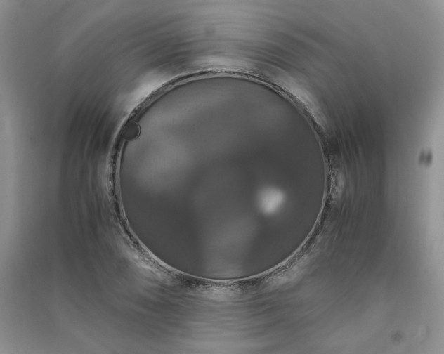 X0000091081074200708131250