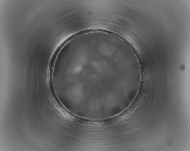 X0000091081076200708131250