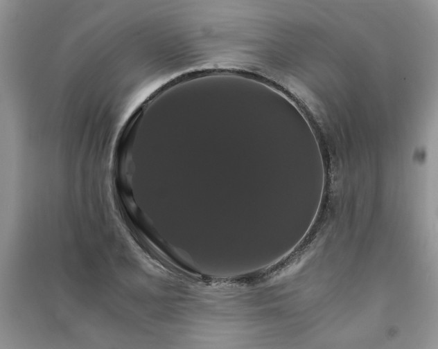 X0000091081077200708131250