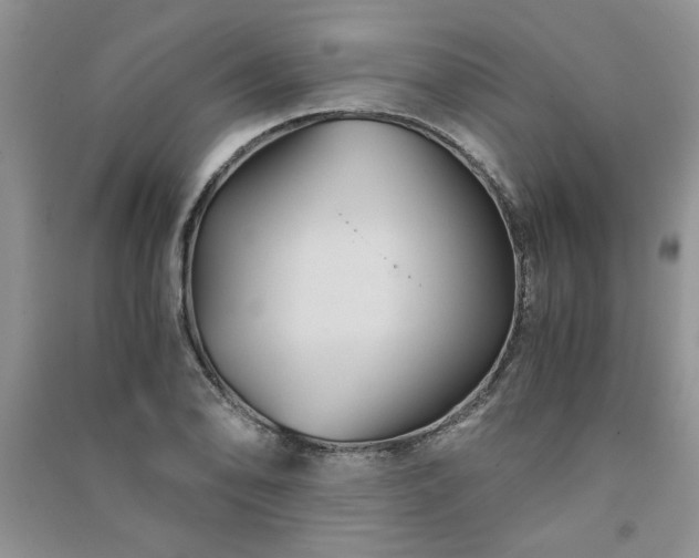 X0000091081078200708131250