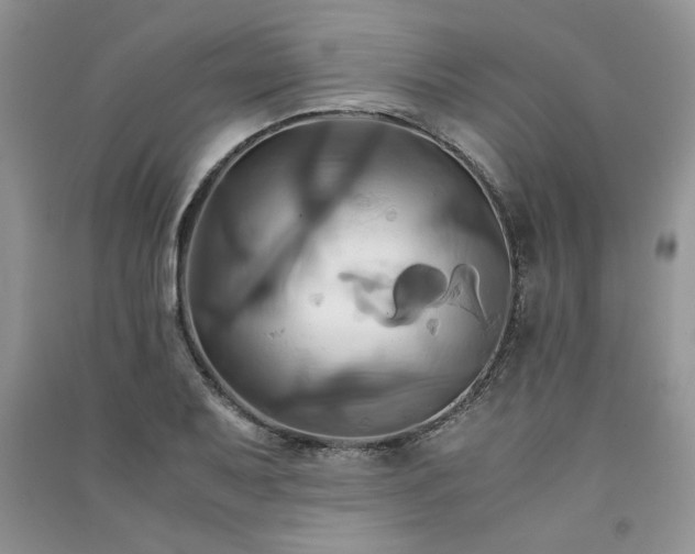 X0000091081079200708131250