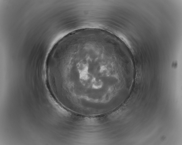 X0000091081080200708131250