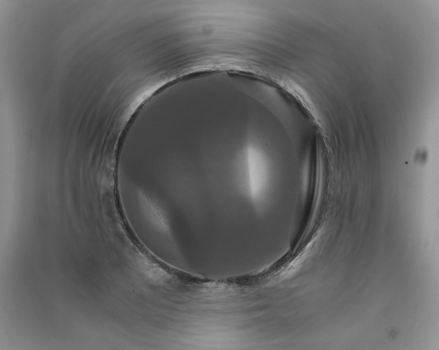 X0000091081081200708131250