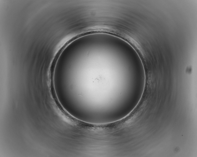 X0000091081082200708131250