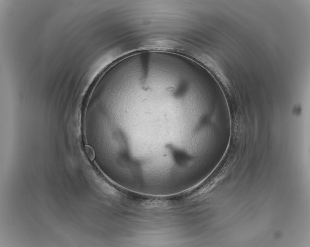 X0000091081083200708131250