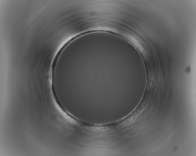 X0000091081084200708131250