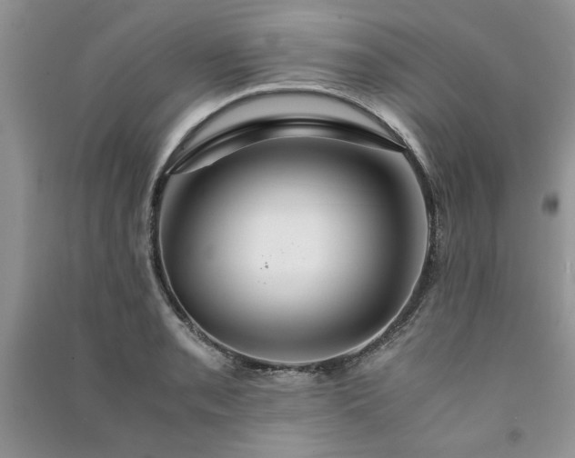 X0000091081085200708131250