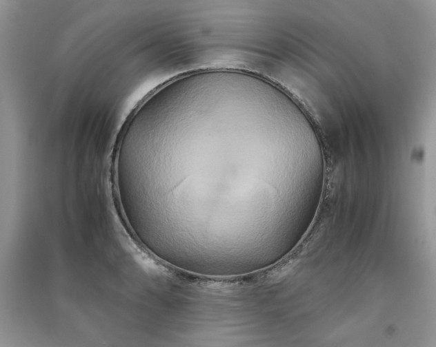 X0000091081086200708131250