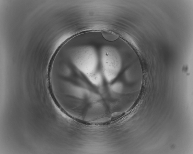 X0000091081087200708131250