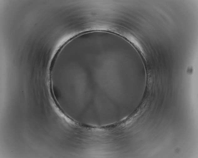 X0000091081088200708131250