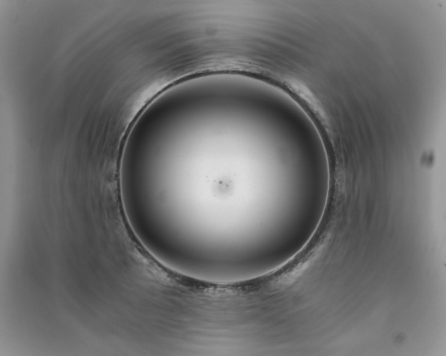 X0000091081089200708131250