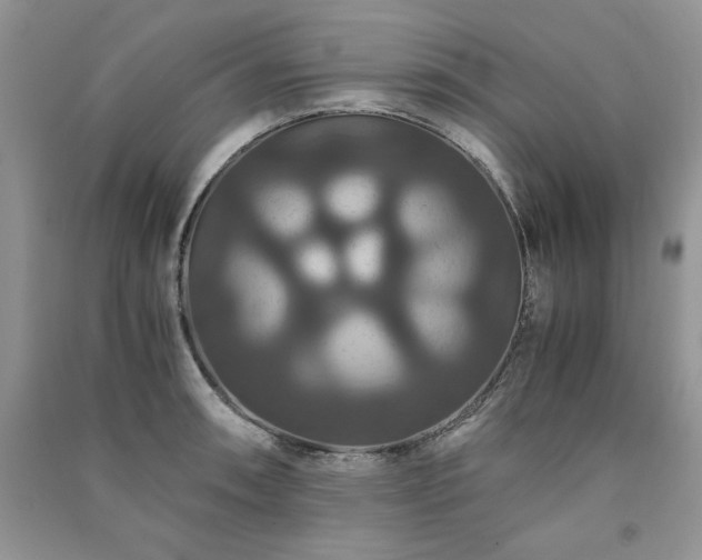 X0000091081090200708131250