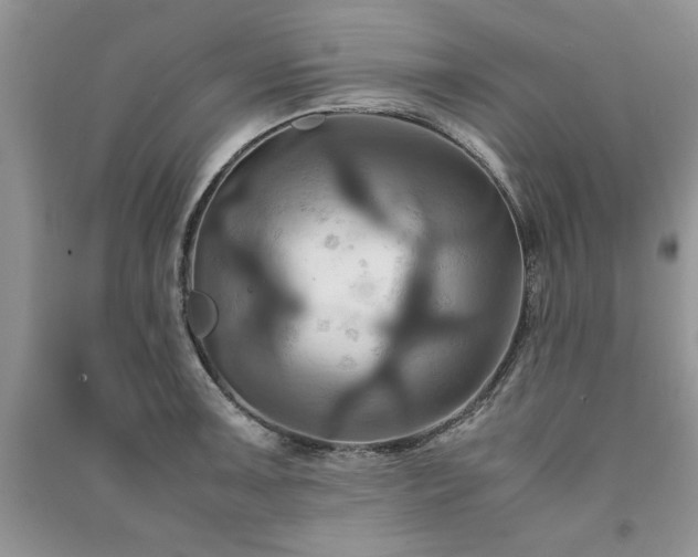 X0000091081091200708131250