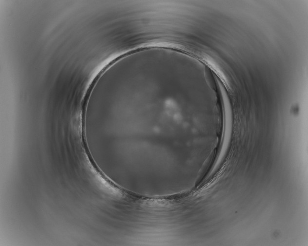 X0000091081092200708131250