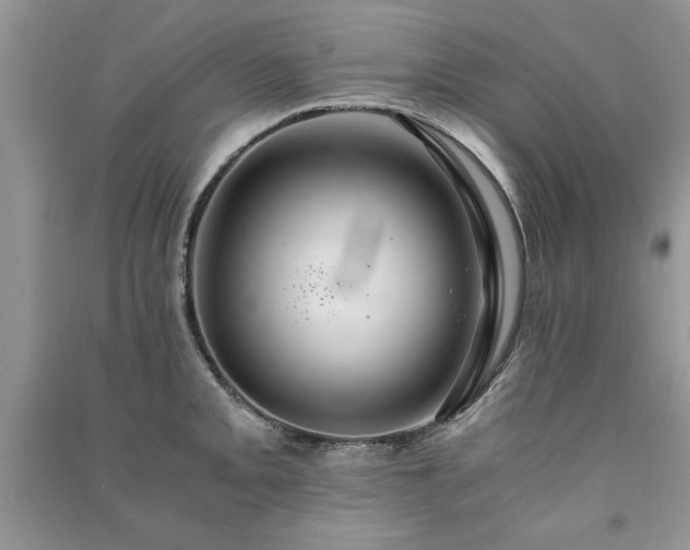 X0000091081093200708131250