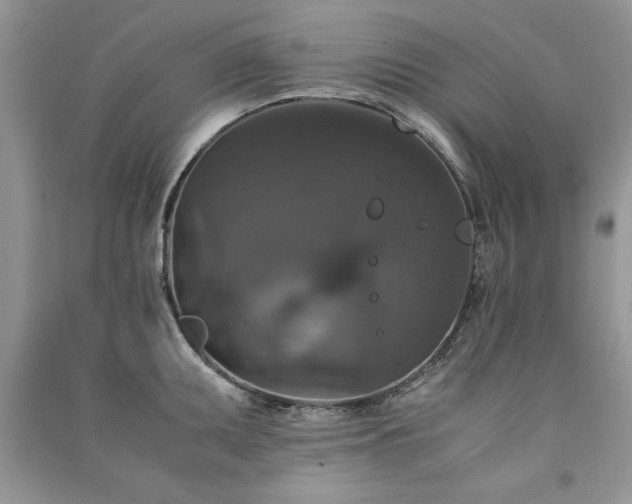 X0000091081095200708131250