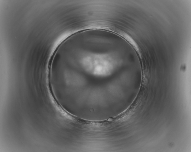 X0000091081096200708131250