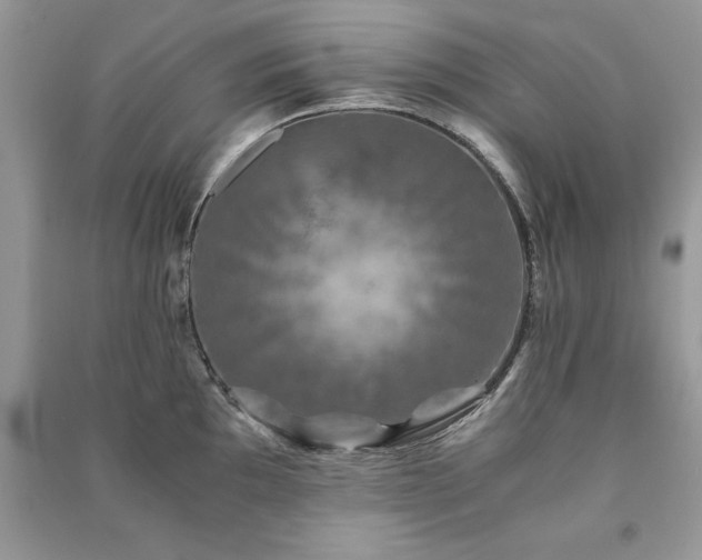 X0000091081097200708131250