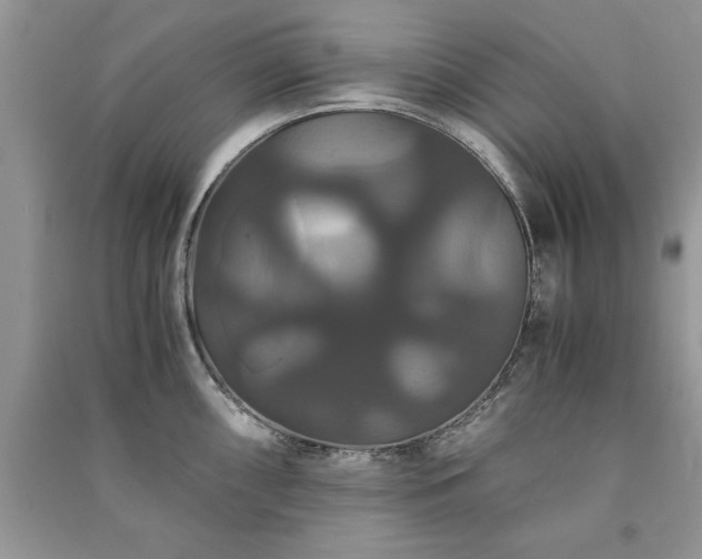 X0000091081098200708131250