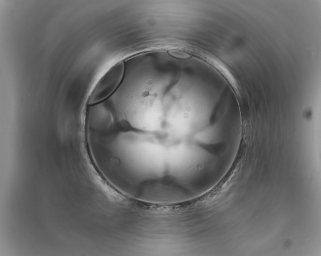 X0000091081099200708131250