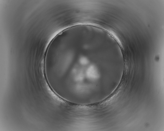 X0000091081100200708131250