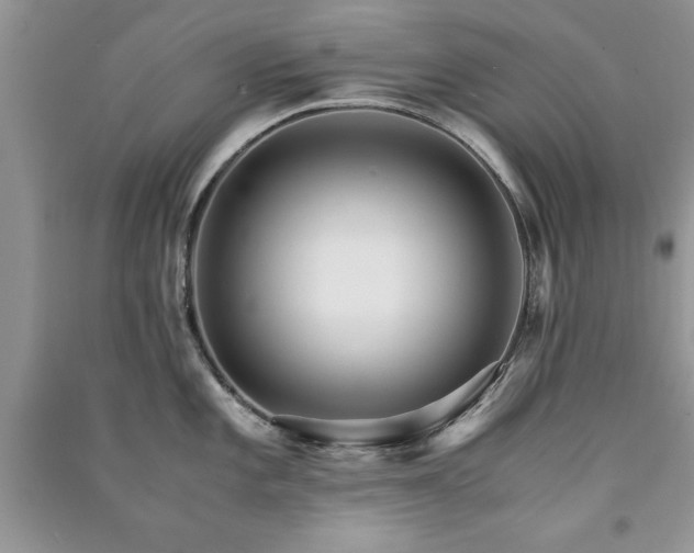 X0000091081101200708131250