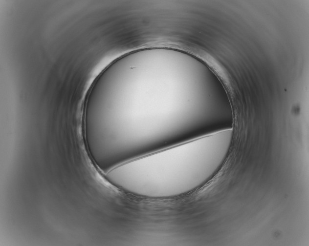 X0000091081102200708131250