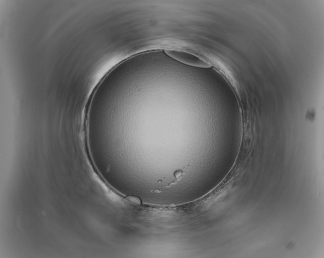 X0000091081103200708131250