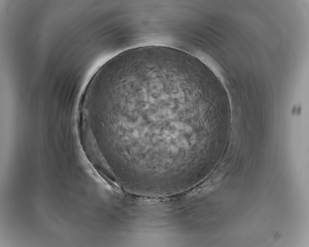 X0000091081104200708131250