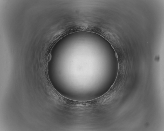 X0000091081105200708131249