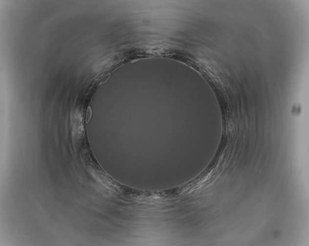 X0000091081106200708131249