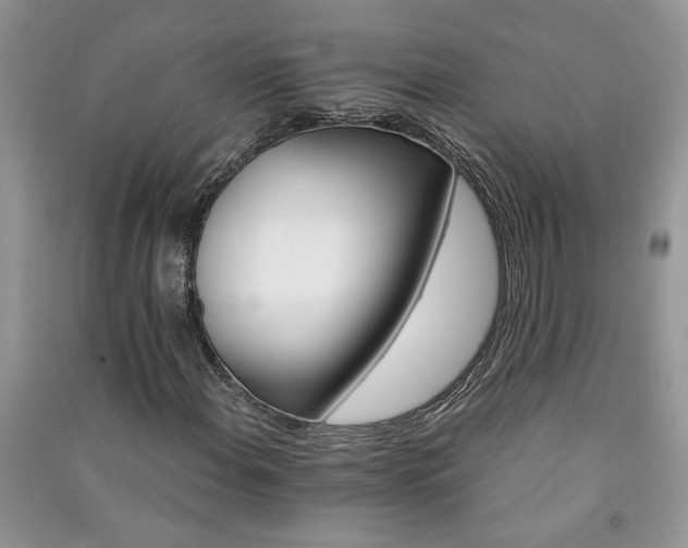 X0000091081108200708131249