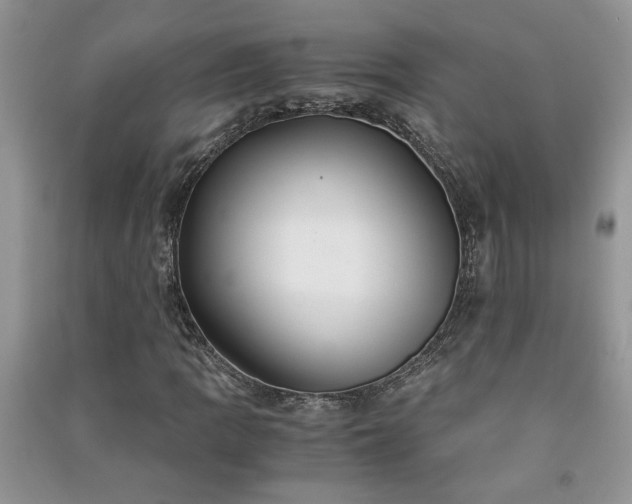 X0000091081109200708131249