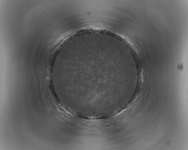 X0000091081110200708131249