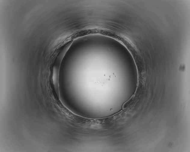 X0000091081111200708131249