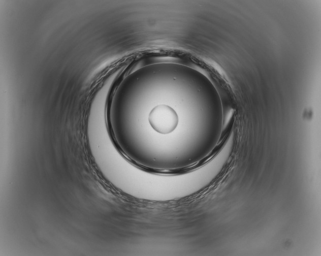 X0000091081112200708131249