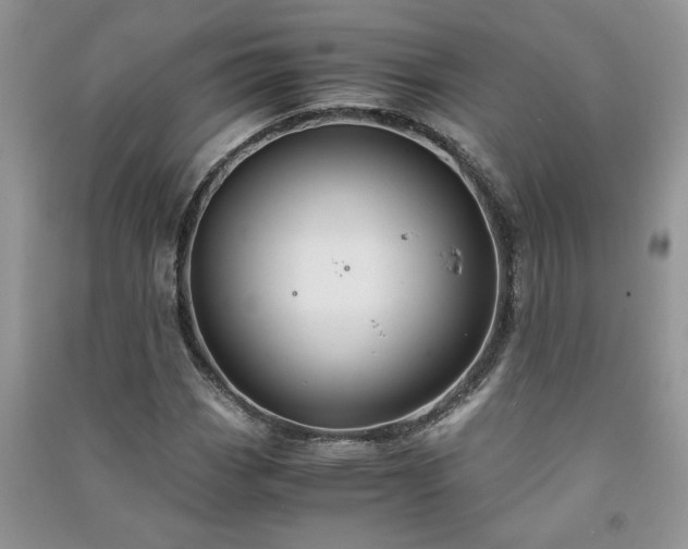 X0000091081113200708131249