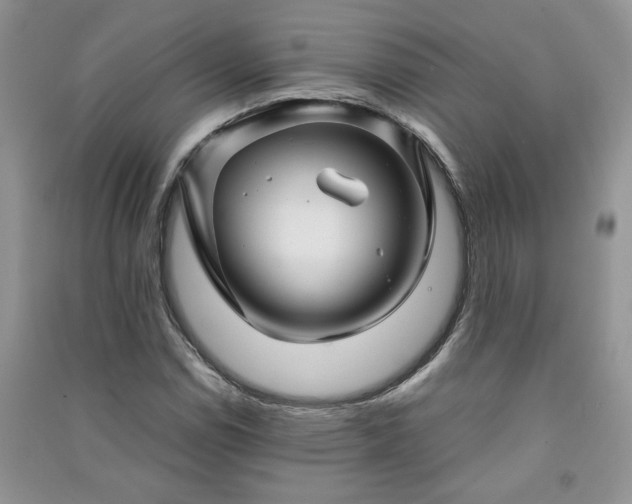 X0000091081114200708131249