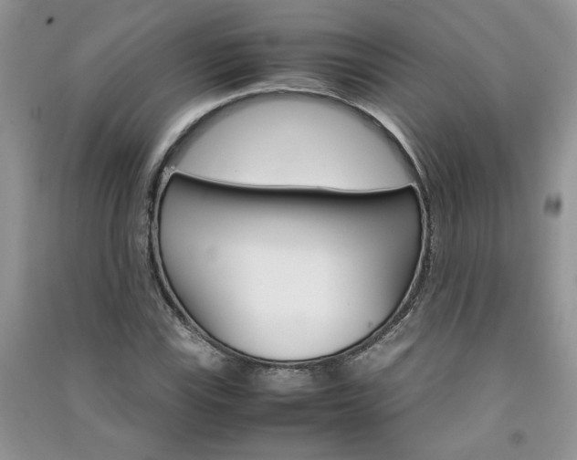 X0000091081115200708131249