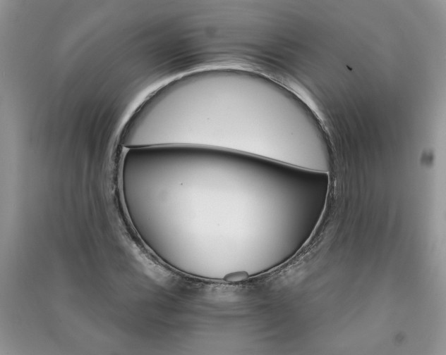 X0000091081116200708131249