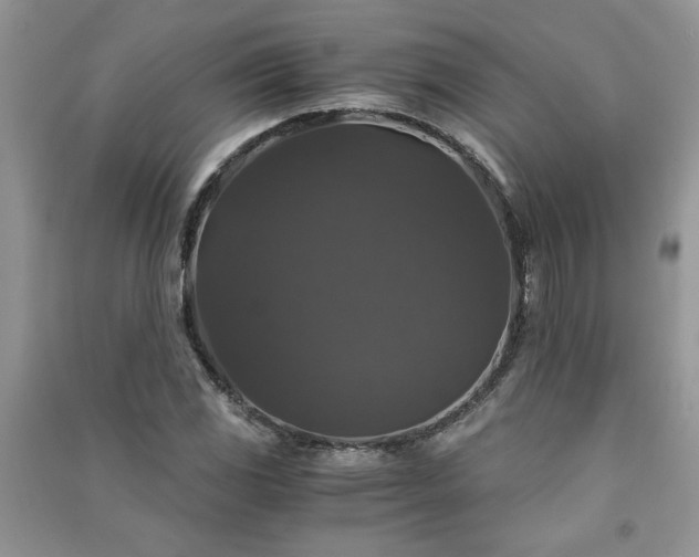 X0000091081117200708131249