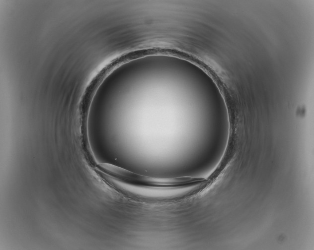 X0000091081118200708131249