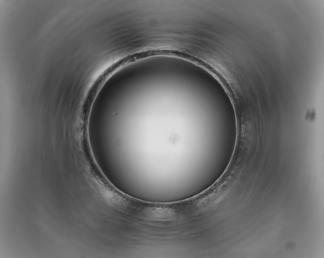 X0000091081119200708131249